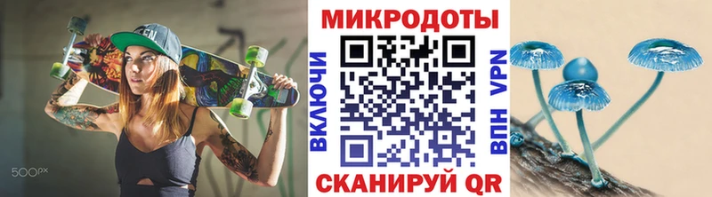 где продают   Камышин  Галлюциногенные грибы ЛСД 
